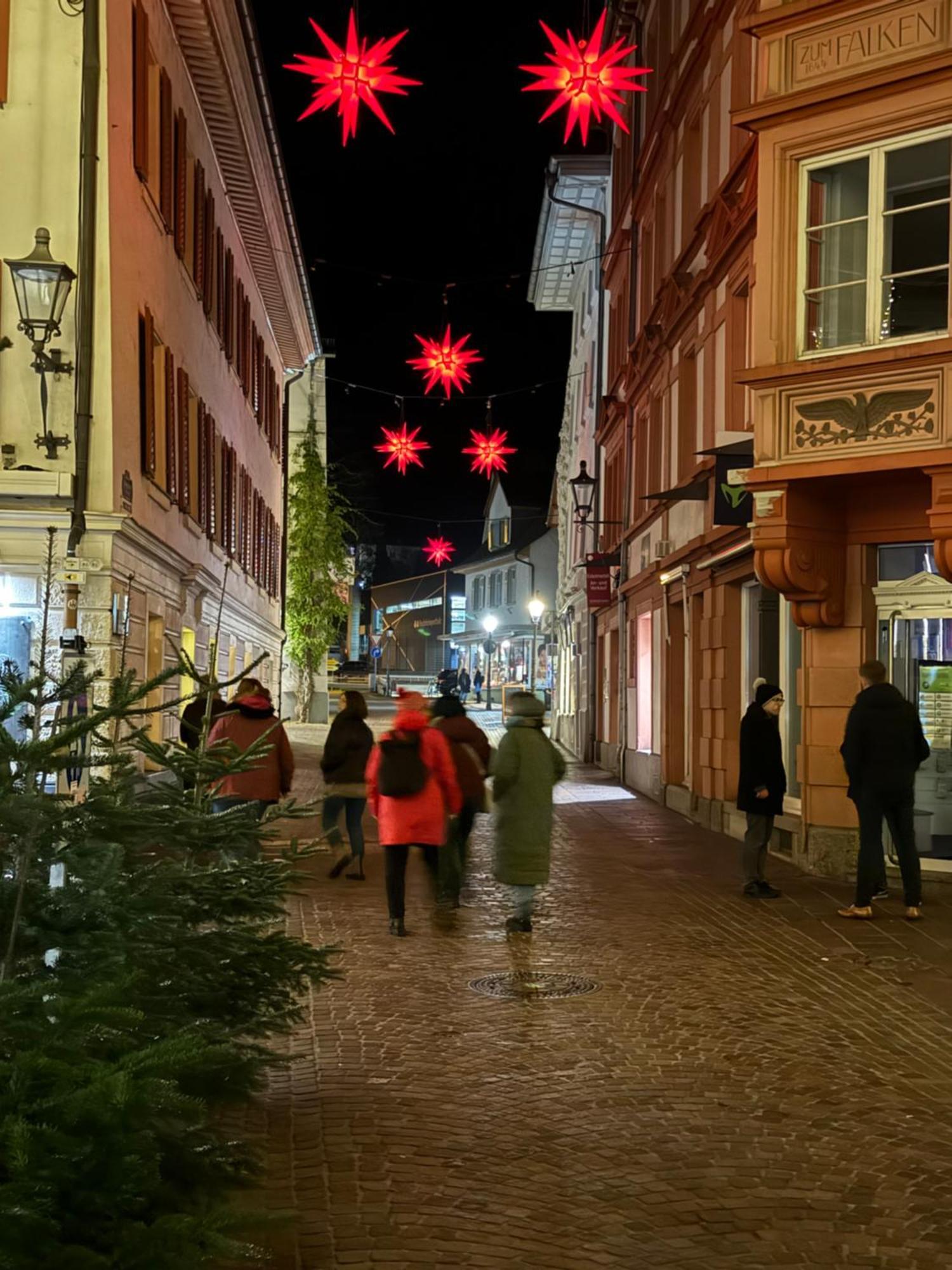 Waldshut -Kaiser55 المظهر الخارجي الصورة